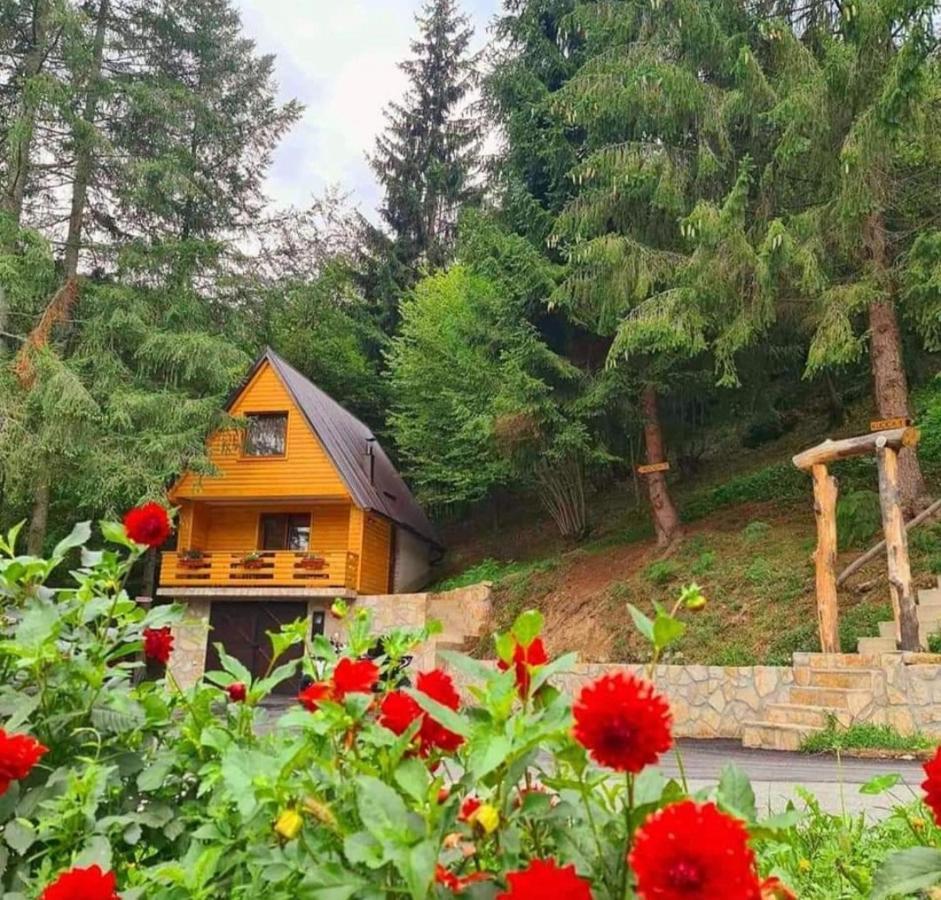 Etno Selo Bistrovo Apartamento Vitez Exterior foto
